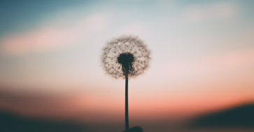 Discover the Powerful Benefits of Mindfulness Meditation for Your Health and Well-being