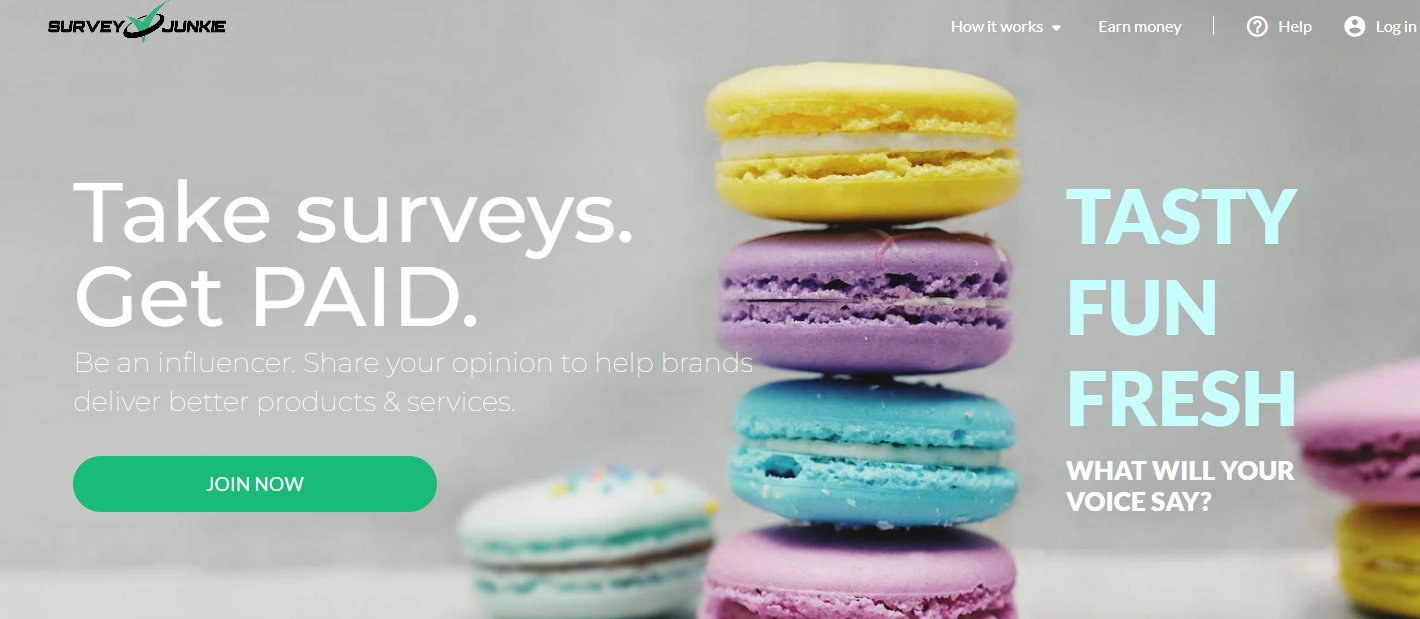 Survey Junkie : Review of this survey App for Earn Money