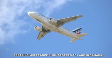Air France Flight with 200 Passengers Diverted to Canada Due to Fuel Leak Suspicion