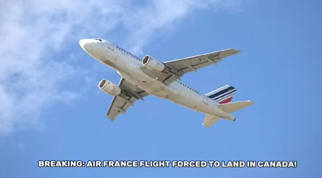 Air France Flight with 200 Passengers Diverted to Canada Due to Fuel Leak Suspicion
