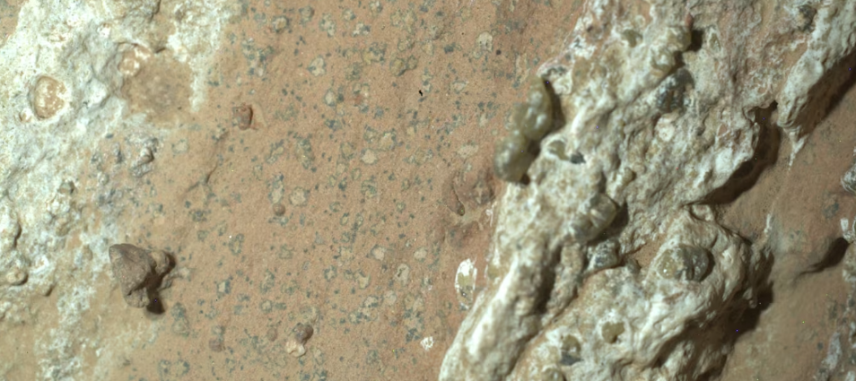 NASA Announces Life on Mars: How the Discovery Could Change Everything