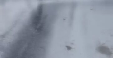 Ice skating in street of Québec in Canada