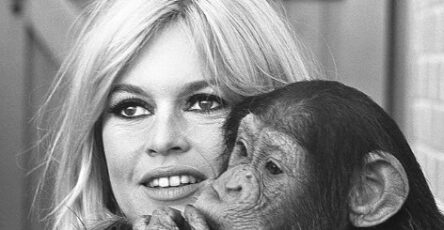 Brigitte Bardot has died at 91: what her legacy really represents