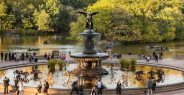 What to Do at Central Park in New York: Must-See Spots, Activities, and Local Tips