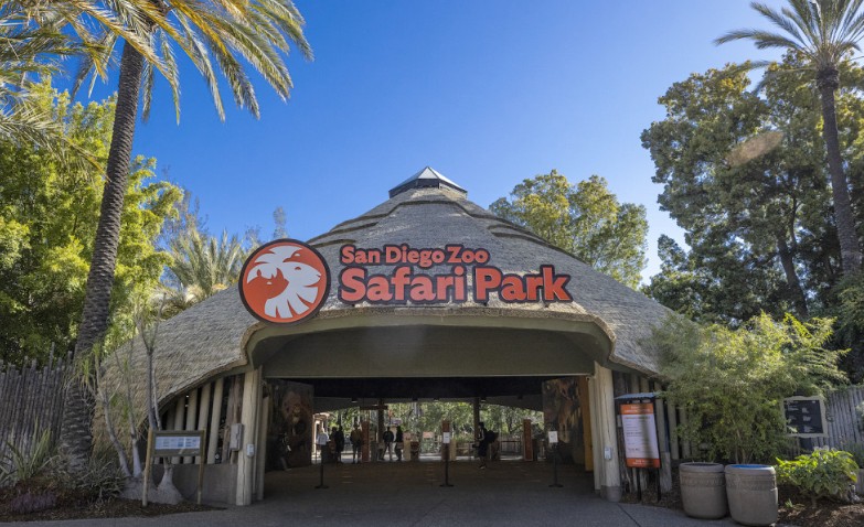 Inside the San Diego Zoo: Wildlife, Rare Species, and Conservation Programs