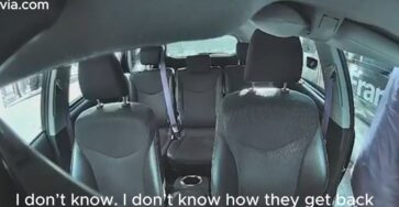 Bus, Car Door, Paris: One Second of Inattention That Nearly Turned Into a Disaster