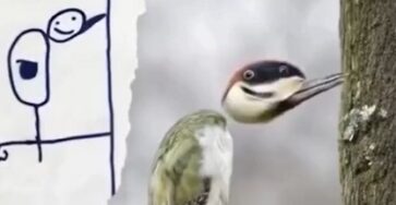 Children's Drawings and AI Video: The Meeting That Fascinates the Web