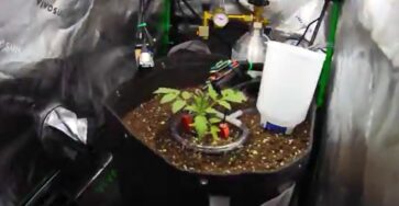 Claude AI and the Autonomous Greenhouse: a real-world experiment with living systems
