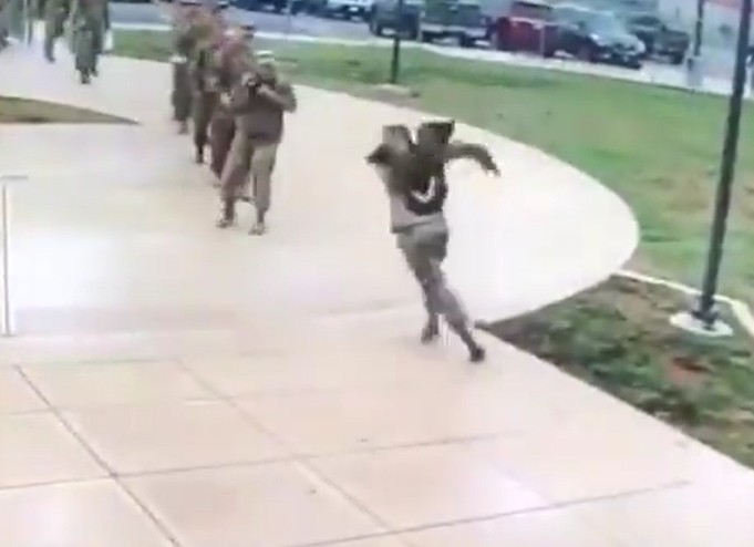 Goose vs Military