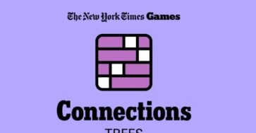 NYT Connections Today (Types of Trees): Hints First, Answer Last