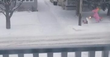 Unicorn in the Snow: The Video That Made a Neighborhood Smile