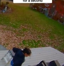 Woman Fail With a Stepladder That Took the Internet by Surprise